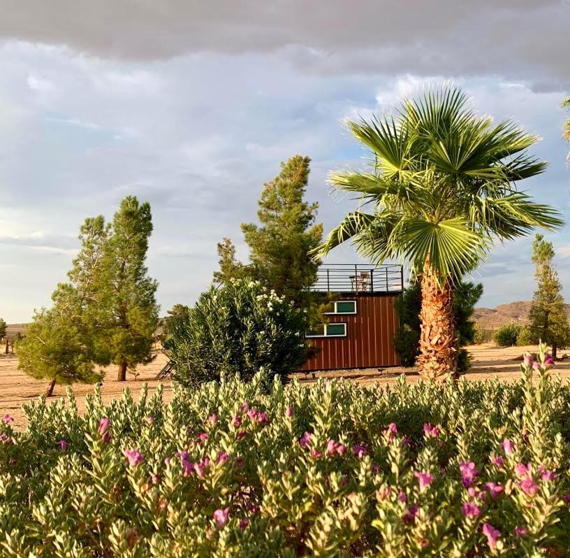 The Castle House Estate Hotel Joshua Tree Exterior foto